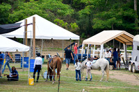 Equestrian Show Rincon 5_29_2021