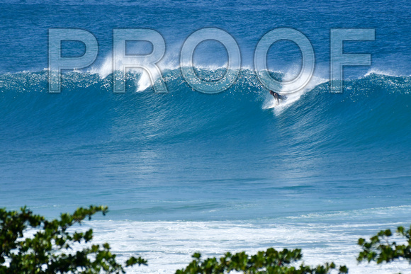 Tres Palmas_1_30_2021-9