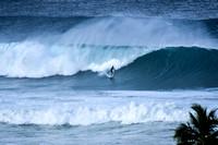 Tres Palmas_1_30_2021-6