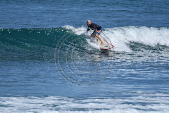 DW_+_Whales_ZEN_PDM_2_28_22-15