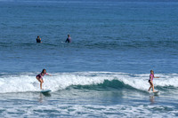 DW_+_Whales_ZEN_PDM_2_28_22-8