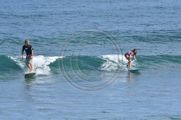 DW_+_Whales_ZEN_PDM_2_28_22-2