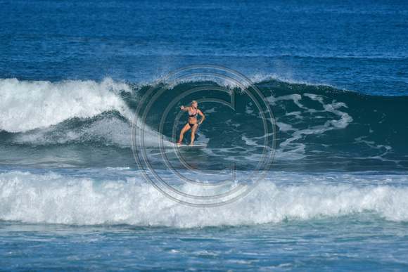 PDM_1_16_22_Whales jumping_Surf pumping-22